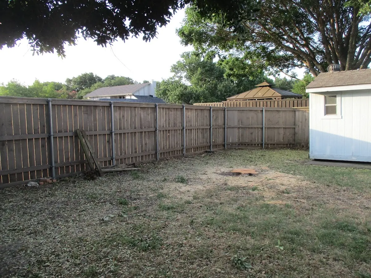 Cleared yard after professional tree removal in Mc Knightstown